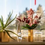 A legszebb virágzó szobanövények bemutatása képekkel és nevekkel