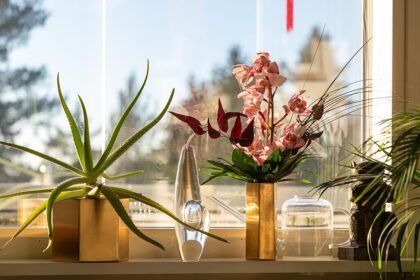 A legszebb virágzó szobanövények bemutatása képekkel és nevekkel