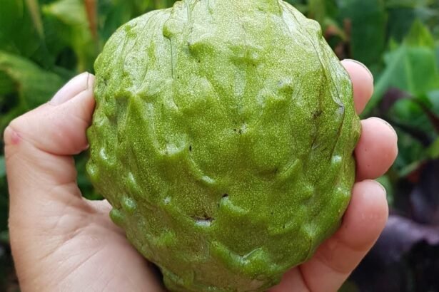 A világ 2. legegészségesebb étele, a magyarok viszont egyáltalán nem eszik