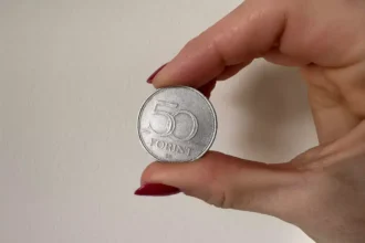 500000 forintot érhet ez az 50 forintos - ezt a mintát keresd rajta: