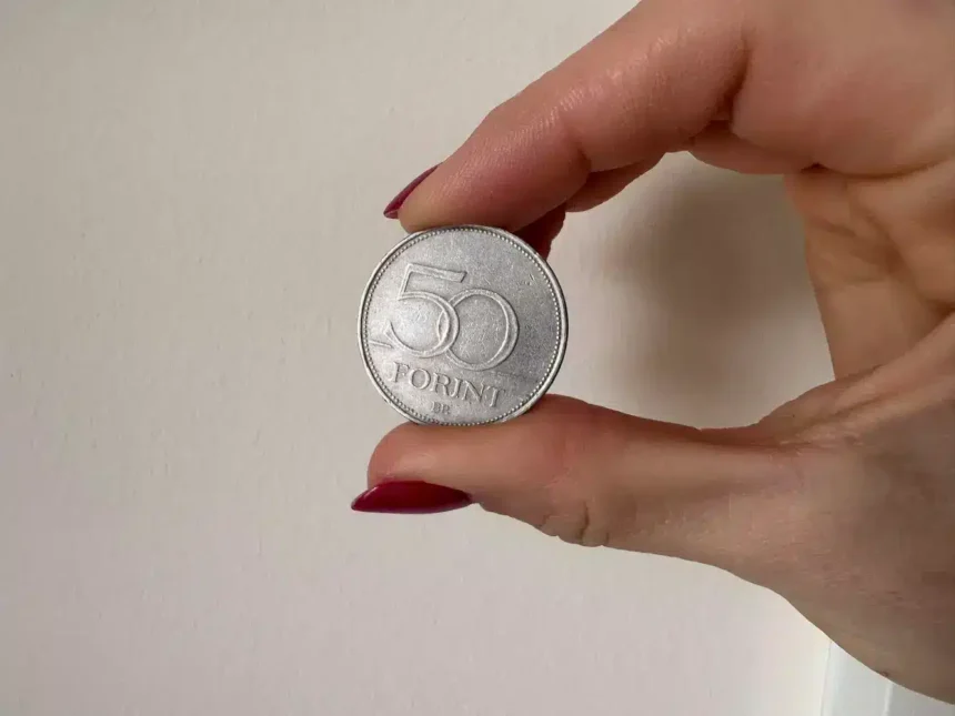 500000 forintot érhet ez az 50 forintos - ezt a mintát keresd rajta: