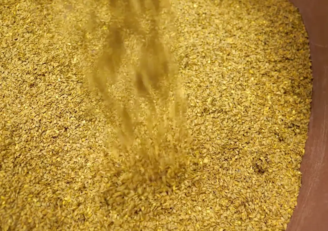 Hihetetlen, mire képes: ez az egyszerű mag igazi szuperélelmiszer! 