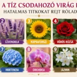 Bökj rá a csodahozó virágok egyikére – meglepő dolgokat árulhat el rólad a választásod