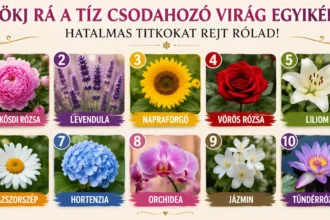 Bökj rá a csodahozó virágok egyikére – meglepő dolgokat árulhat el rólad a választásod