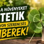 Ezeket a növényeket ültetik a kertjükbe a nagyon szerencsés emberek!