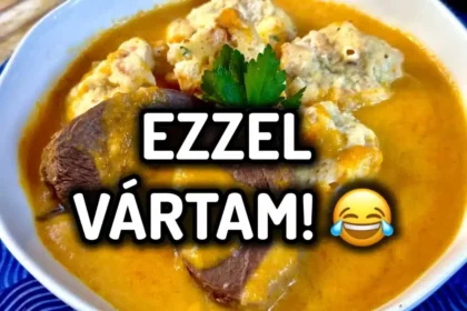 Falusi gonosz anyósom beszólt, hogy nem tudok jól főzni, na legközelebb ezzel a finomsággal vártam