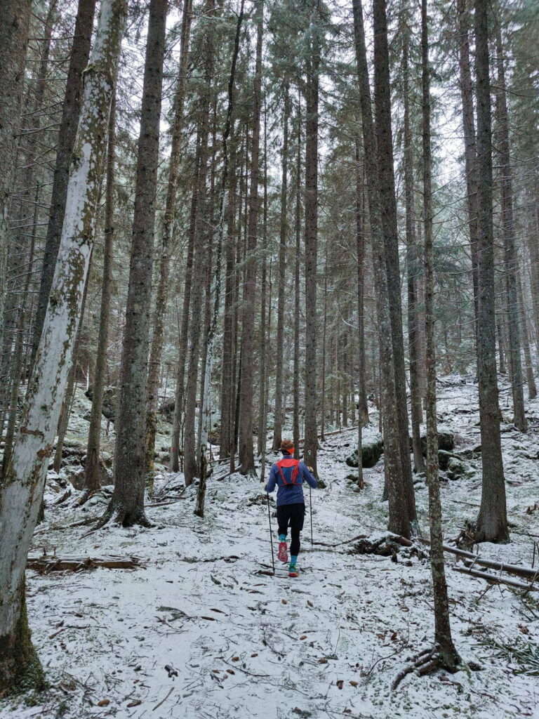 Nordic walkingoló ember a havas erdőben