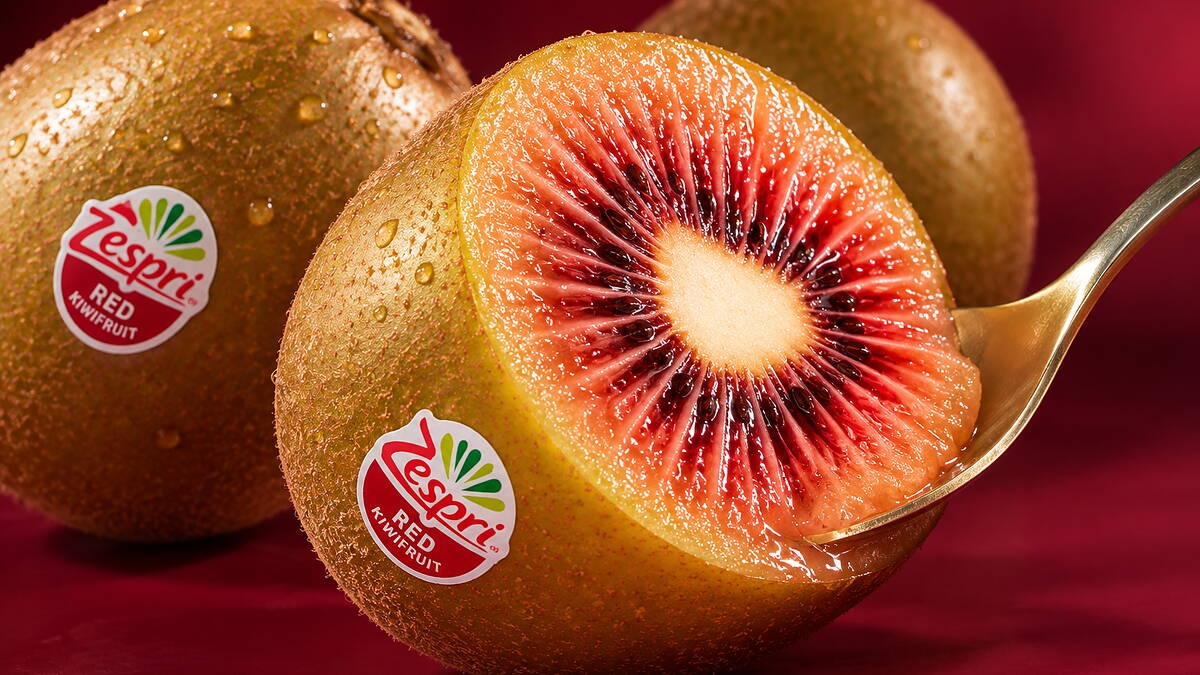 Megjelent az első piros húsú kiwi az európai boltokban, Belgium kapta elsőként