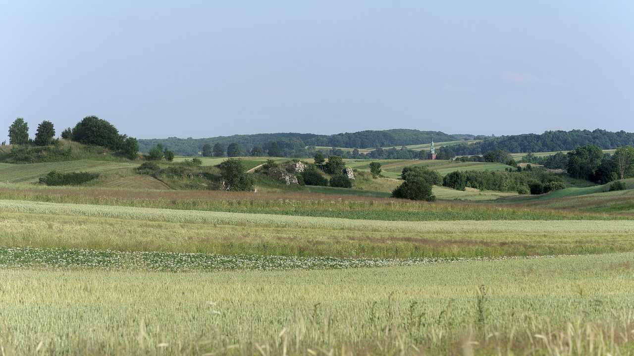 Szántóföldek és vetések Sułoszowa határában